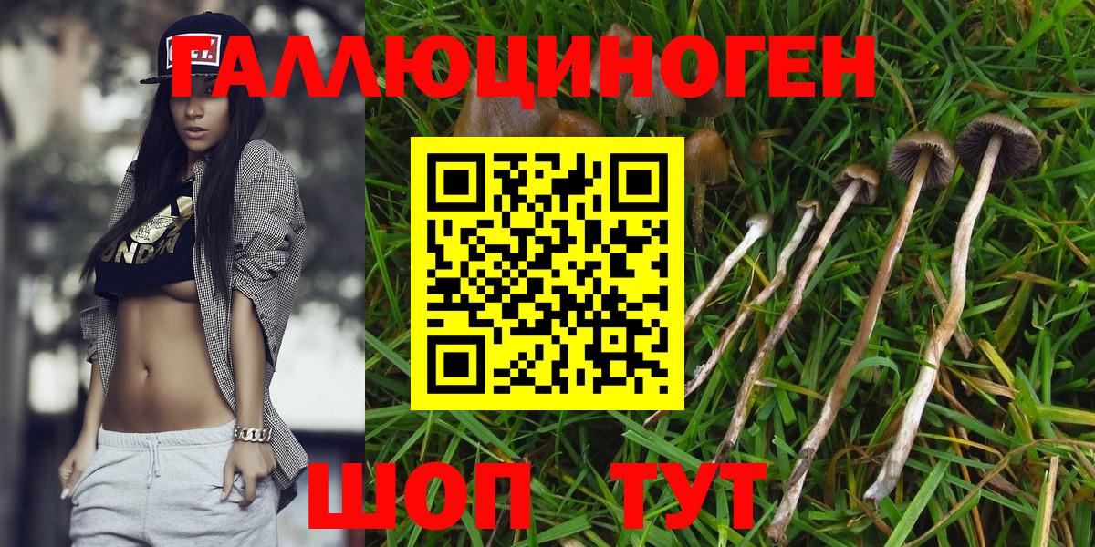 Галлюциногенные грибы мицелий  Вход с VPN  Северск 