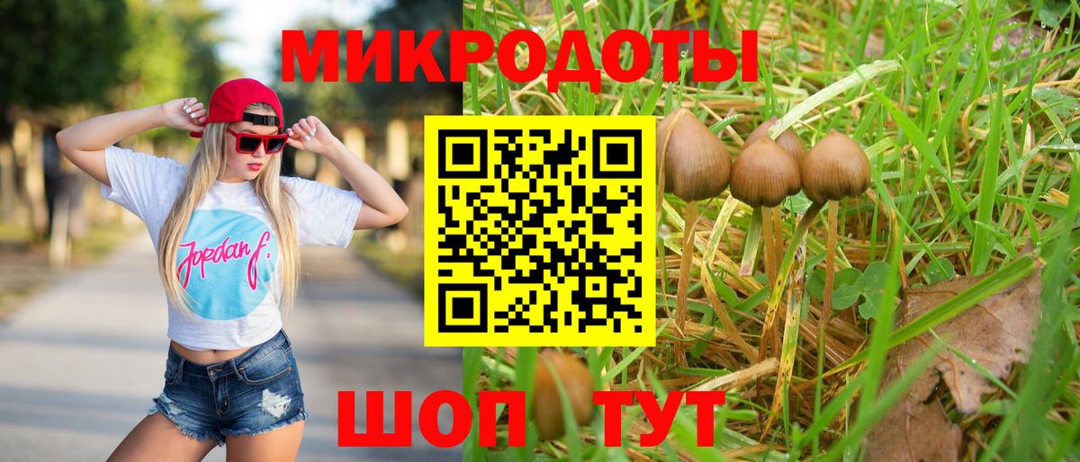 Галлюциногенные грибы мицелий Северск